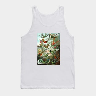 Ernst Haeckel Hummingbirds Tank Top